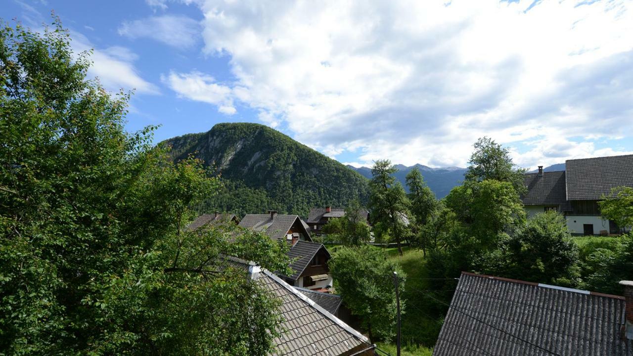 Apartmaji Pekovec Бохинь Экстерьер фото